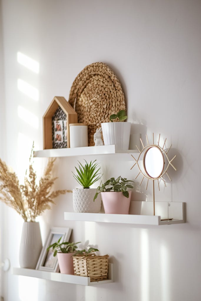 Interior of modern white room with shelves with flowers and plants in pots at soft daylight